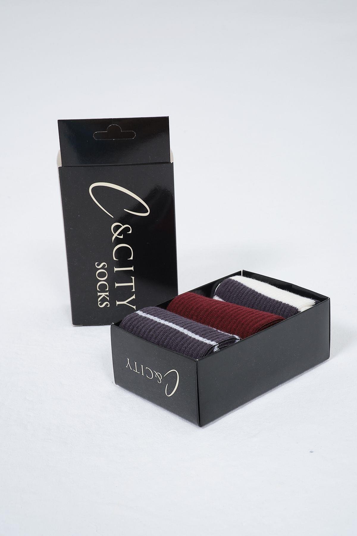  Eggplant Purple Color